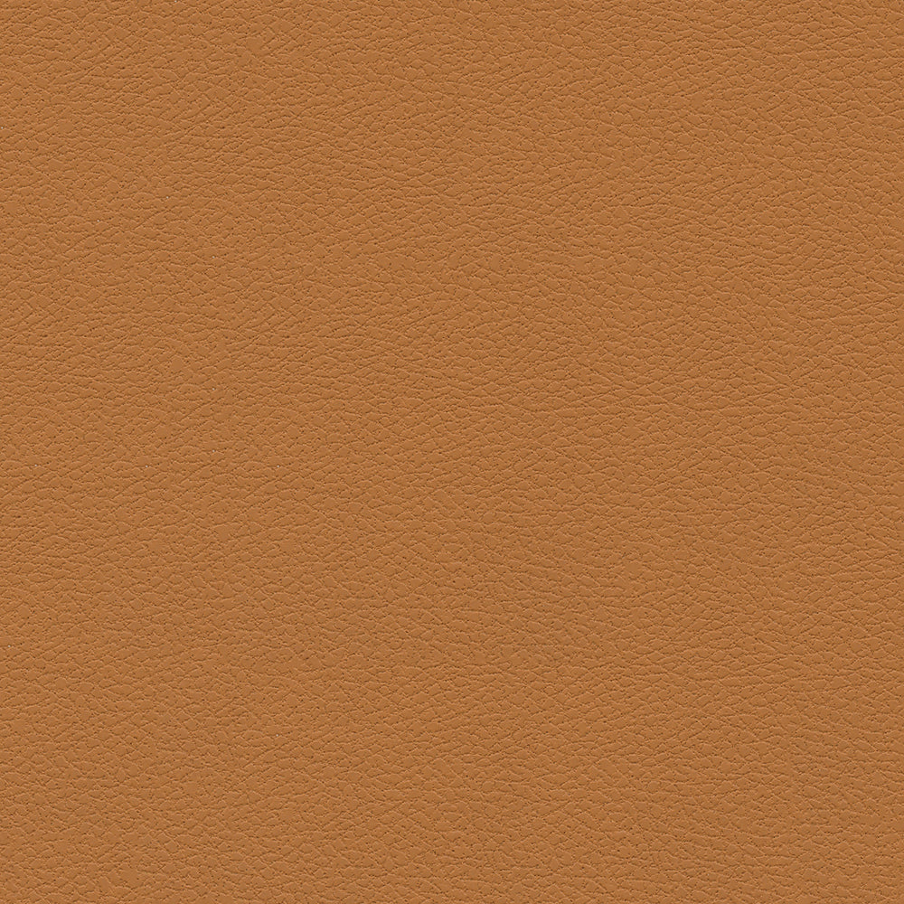 Brisa Indoor/Outdoor