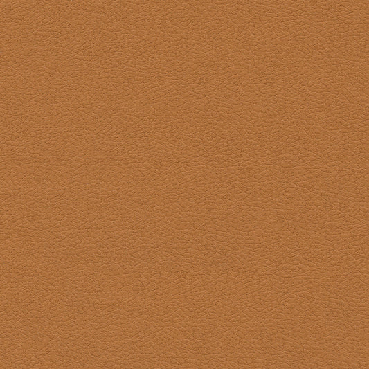 Brisa Indoor/Outdoor