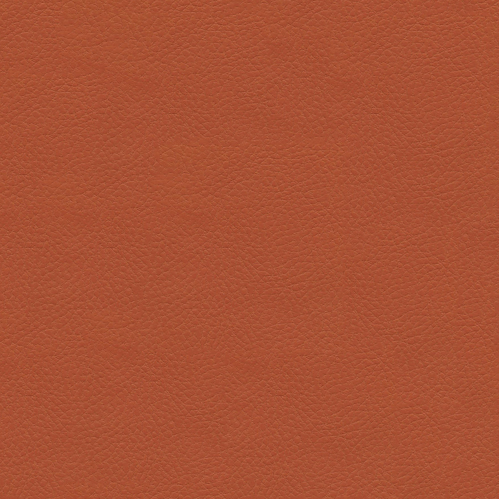 Brisa Indoor/Outdoor