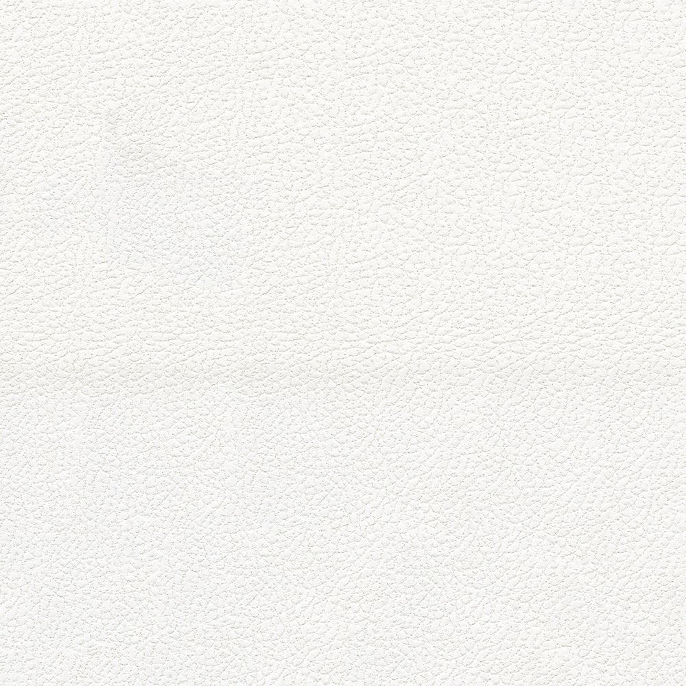 Brisa Indoor/Outdoor