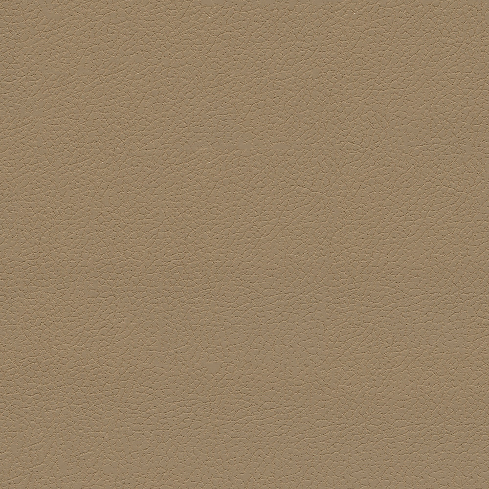 Brisa Indoor/Outdoor