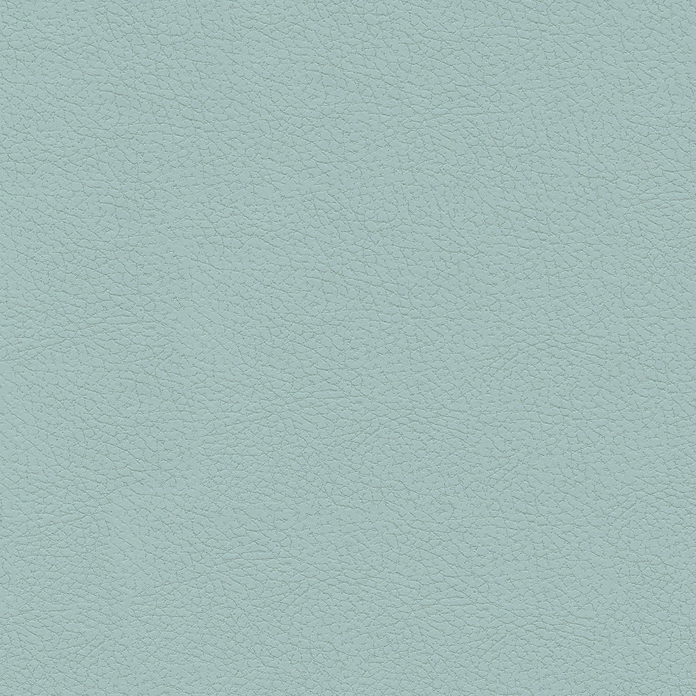 Brisa Indoor/Outdoor