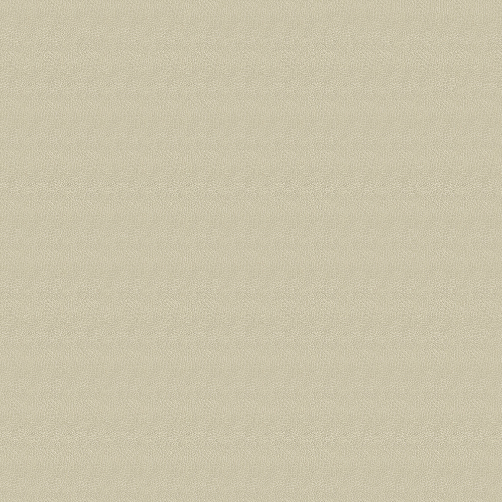 Brisa Distressed Sample