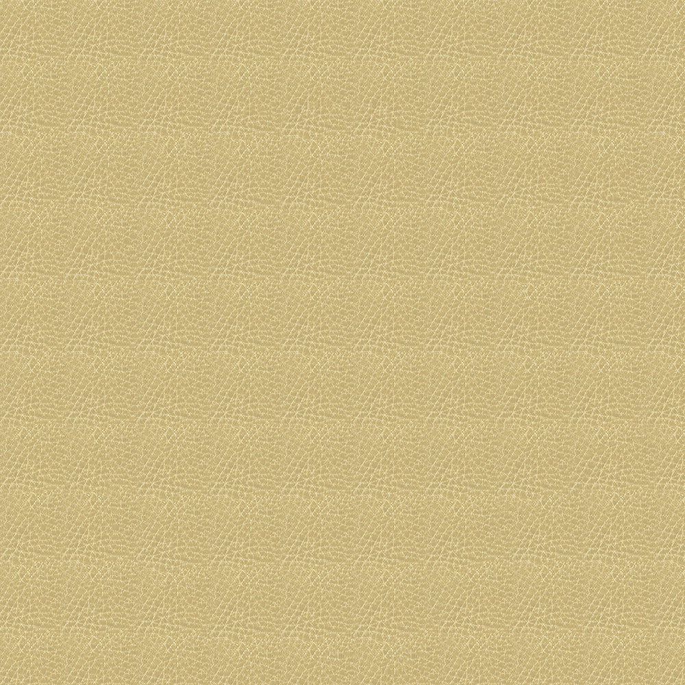 Brisa Distressed Sample