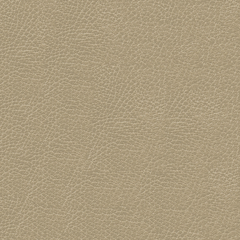 Brisa Distressed Sample