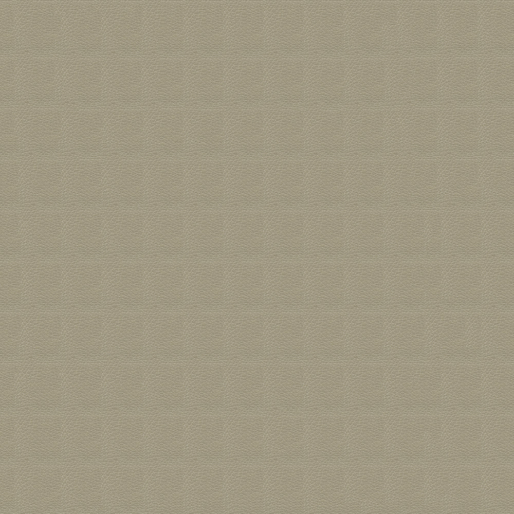 Brisa Distressed Sample