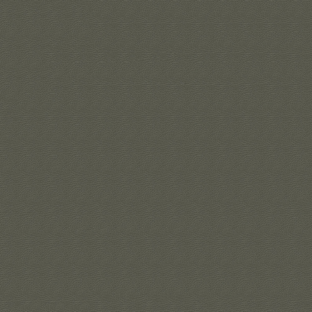 Brisa Distressed Sample