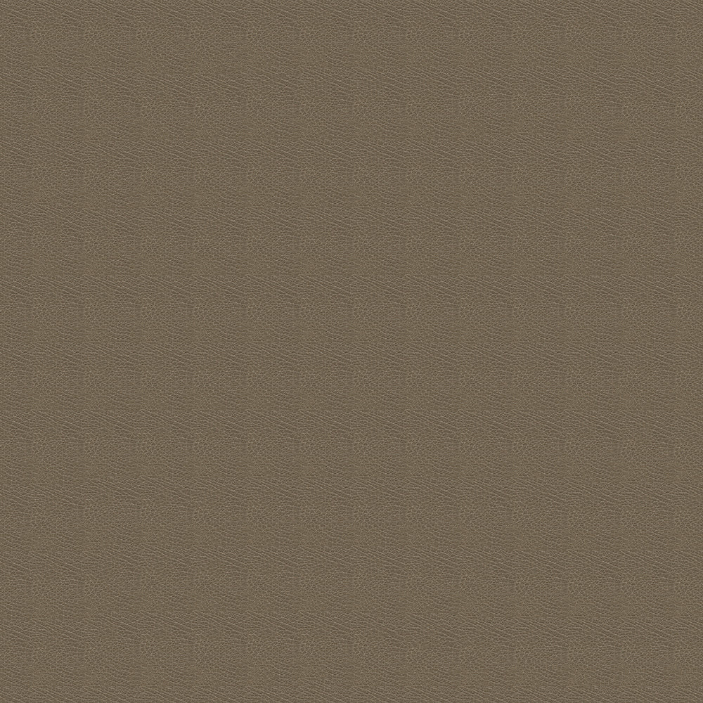 Brisa Distressed Sample