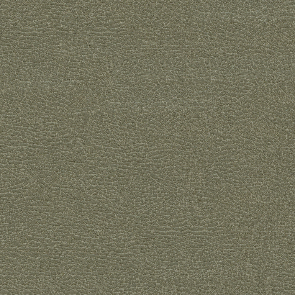 Brisa Distressed Sample